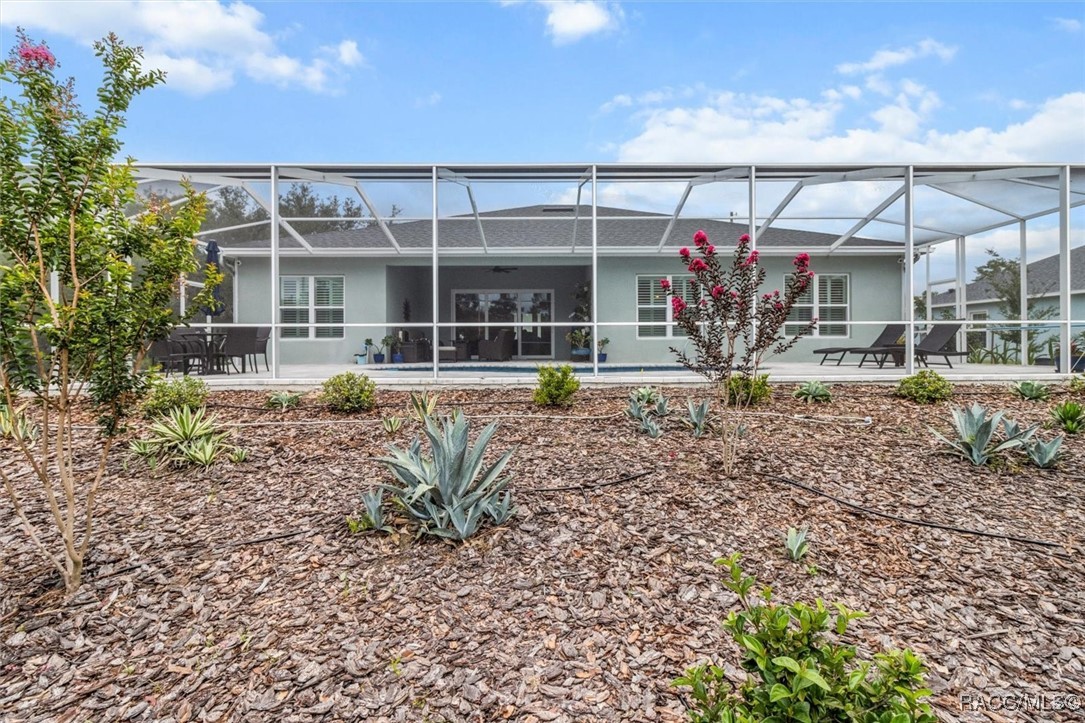 45 Black Willow Street