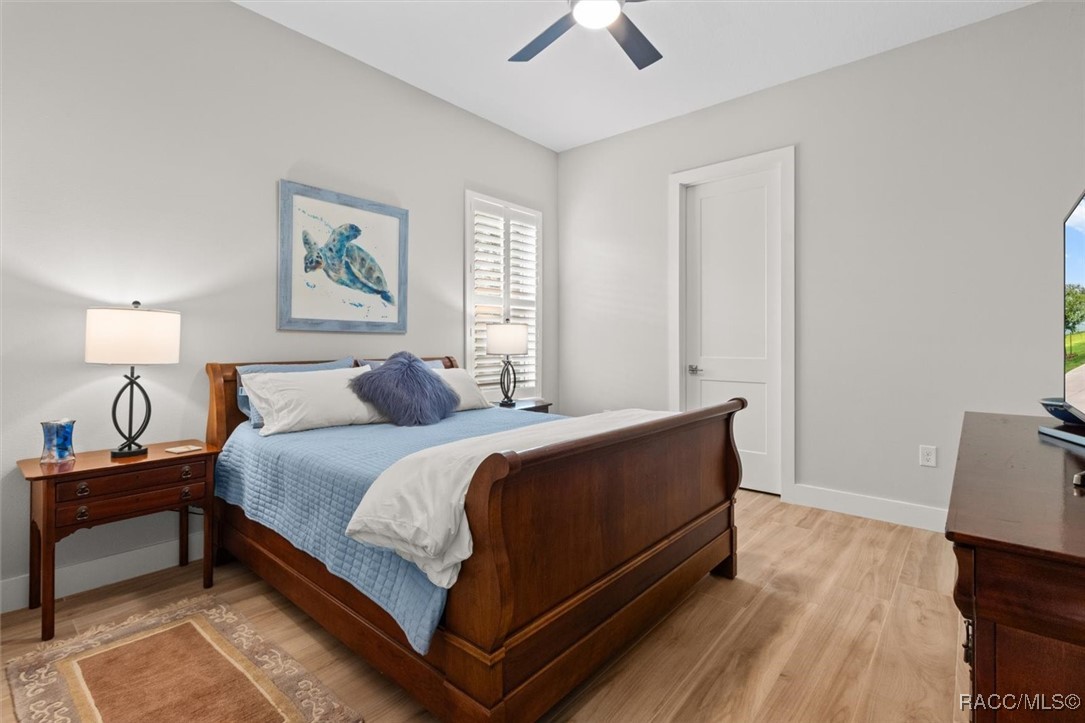 45 Black Willow Street