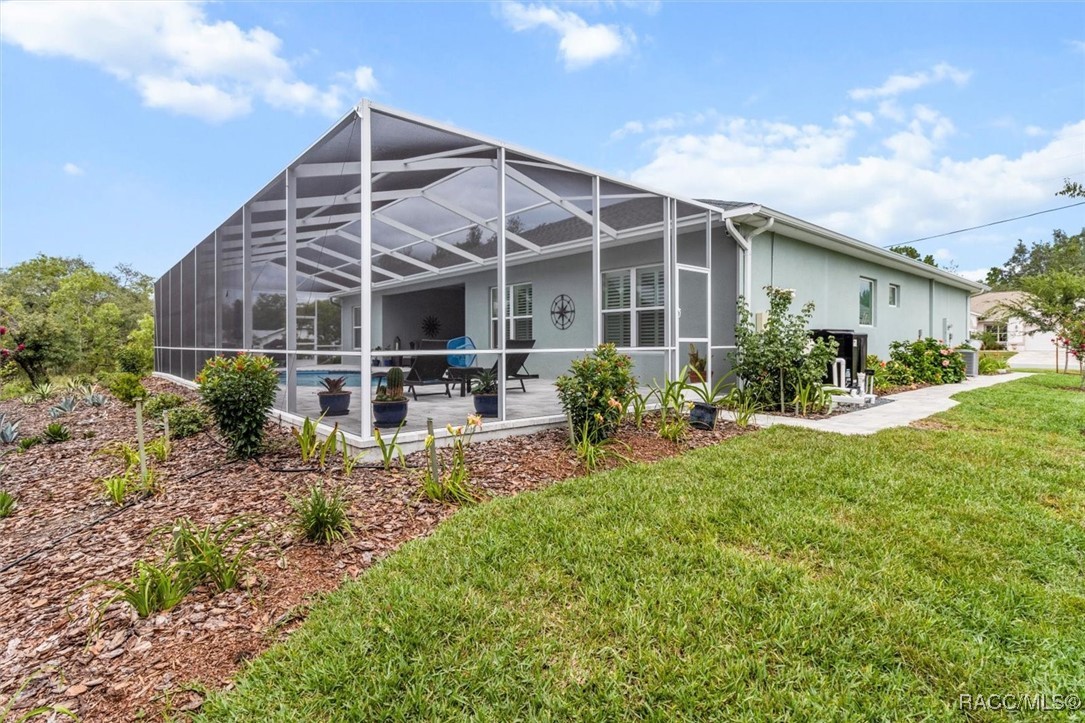 45 Black Willow Street