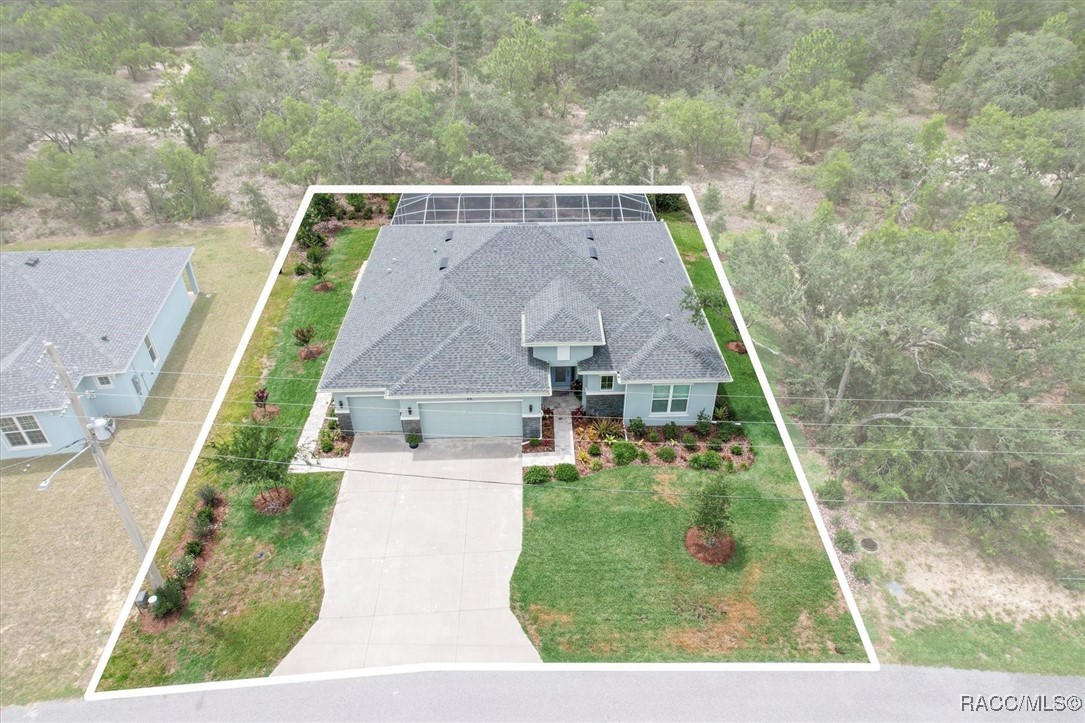 45 Black Willow Street