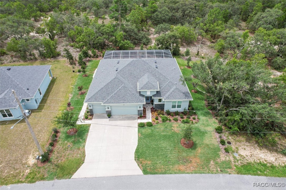 45 Black Willow Street