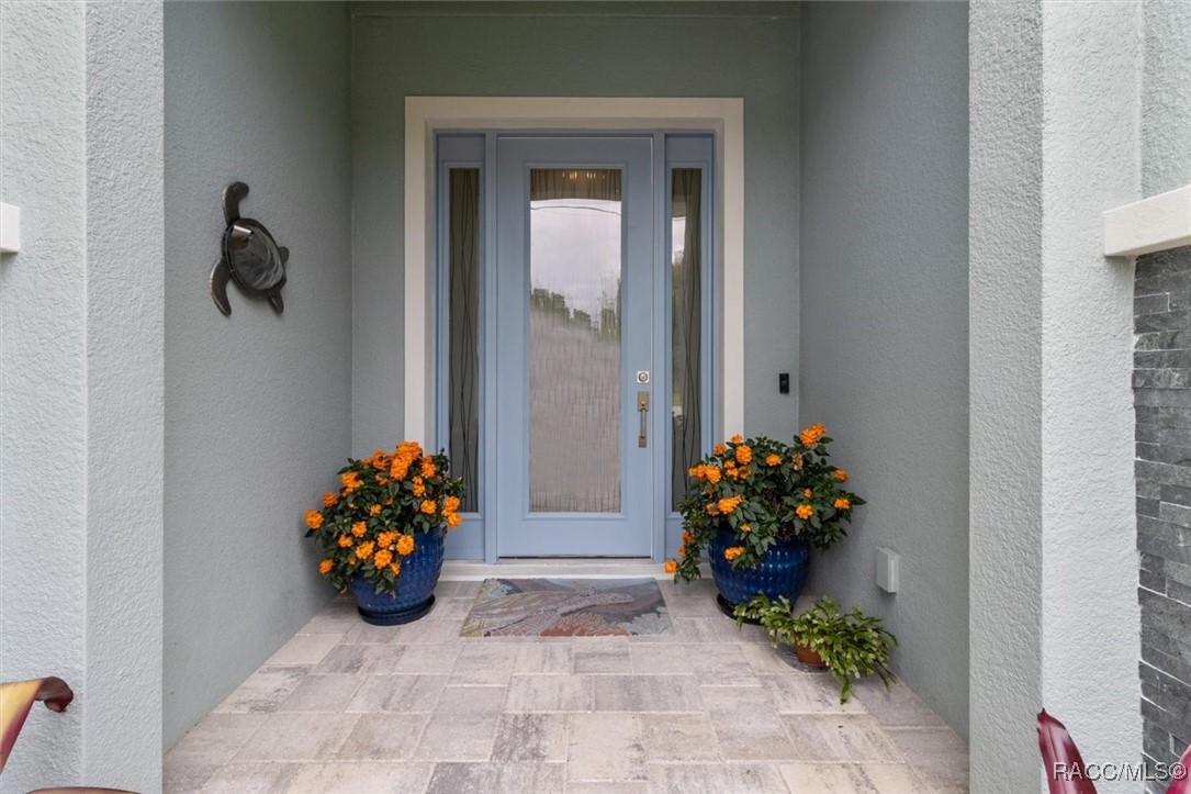 45 Black Willow Street