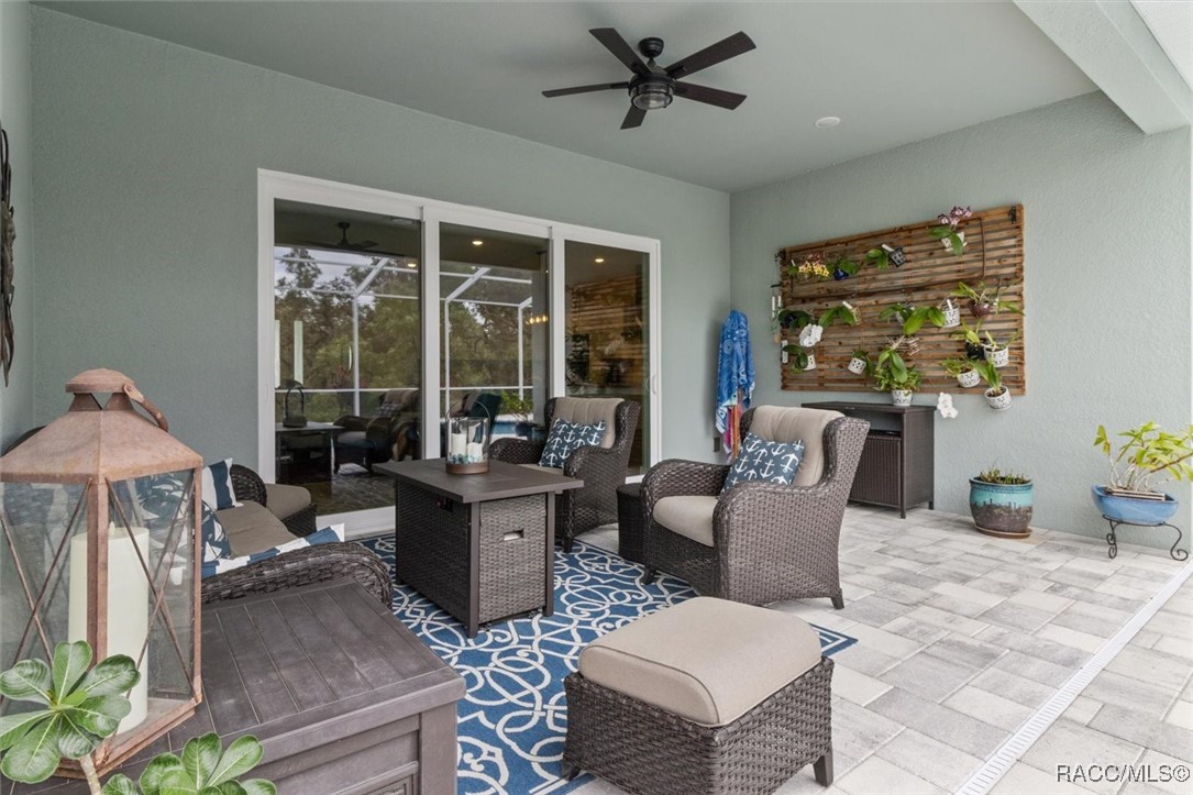 45 Black Willow Street