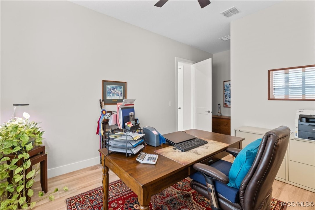 45 Black Willow Street