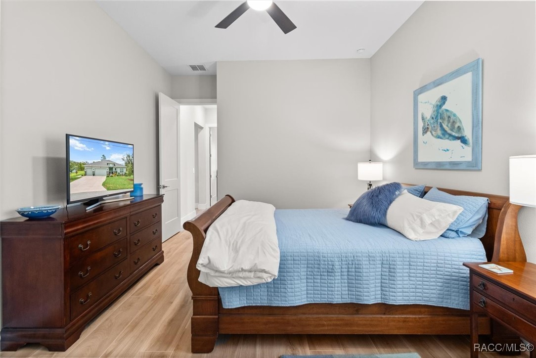 45 Black Willow Street