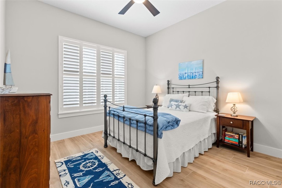 45 Black Willow Street