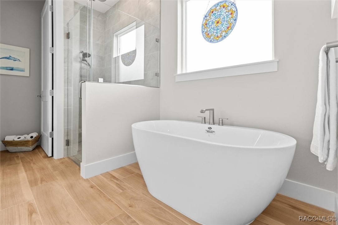 45 Black Willow Street