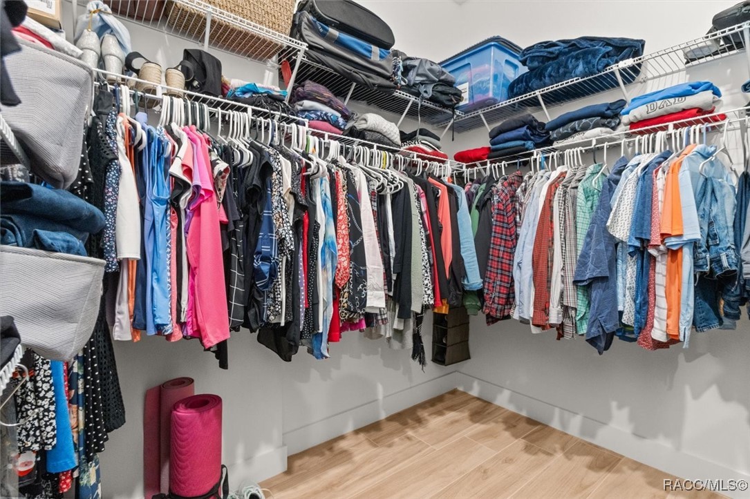 45 Black Willow Street