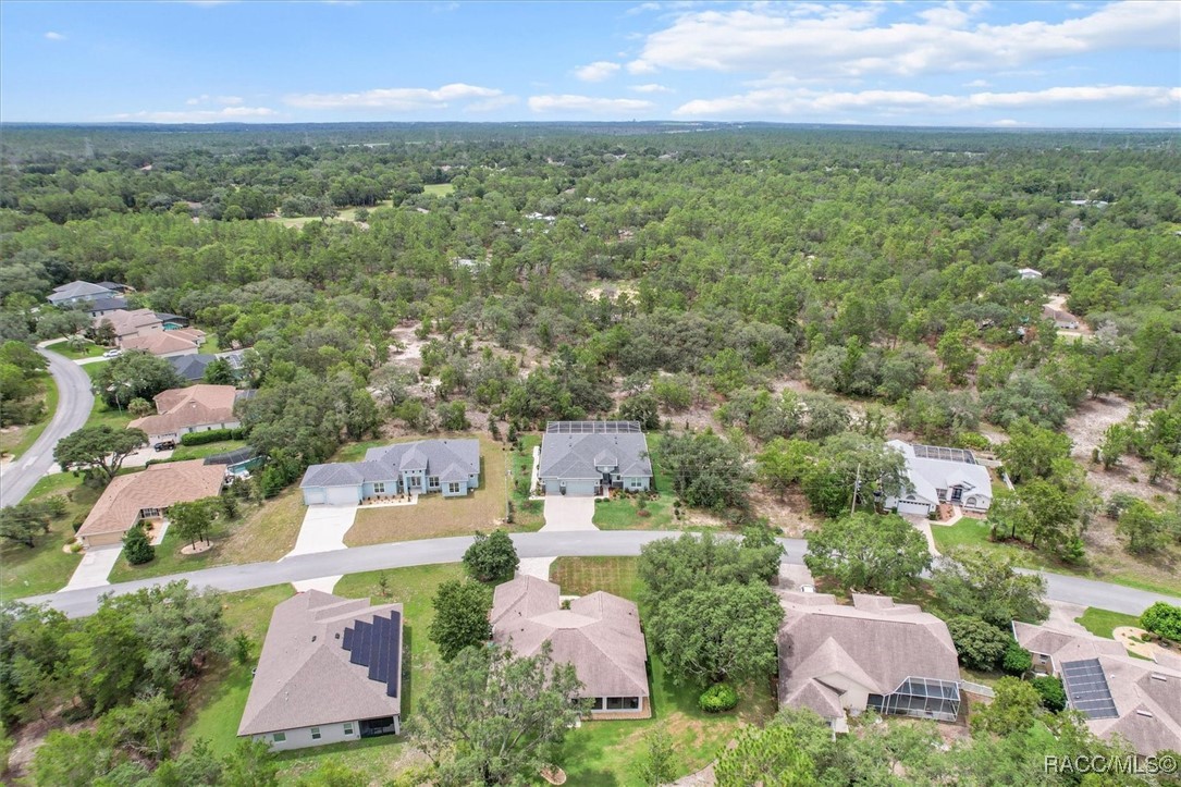 45 Black Willow Street