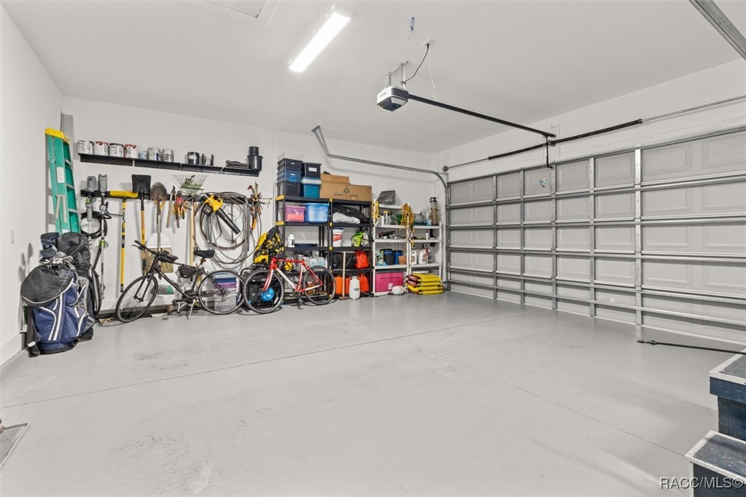 45 Black Willow Street