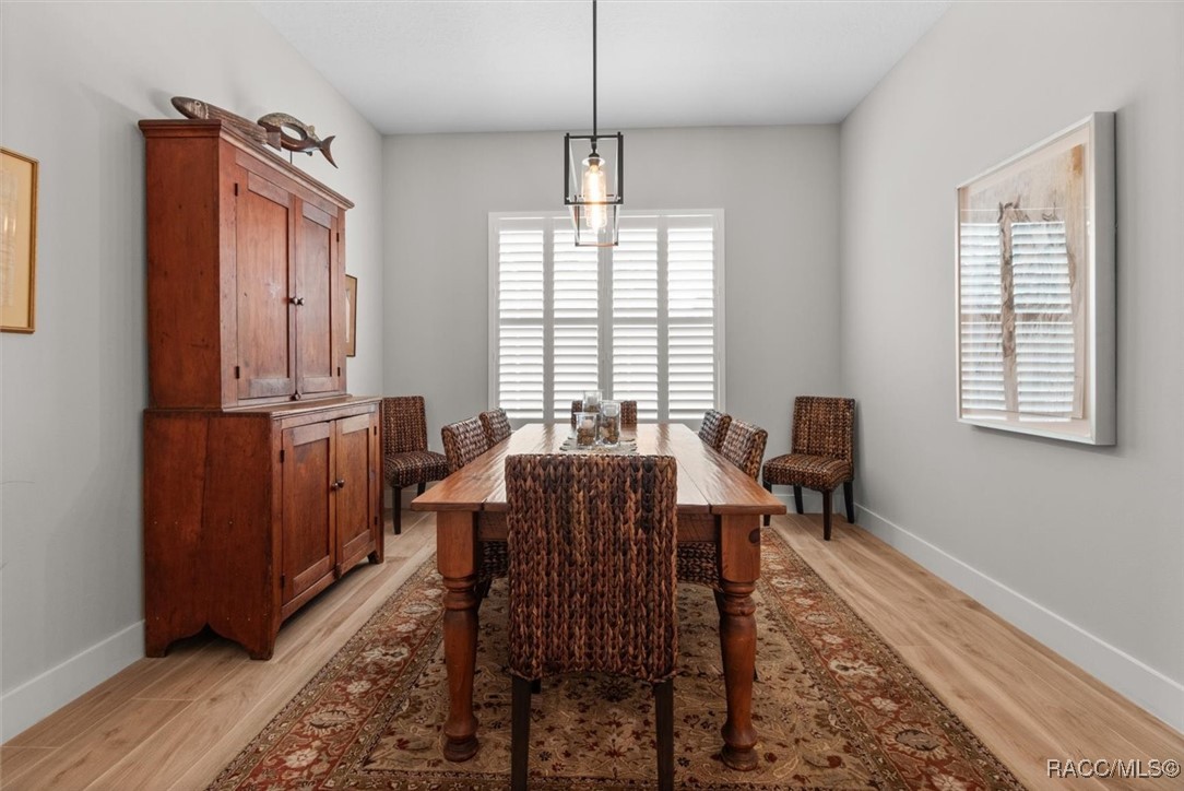 45 Black Willow Street