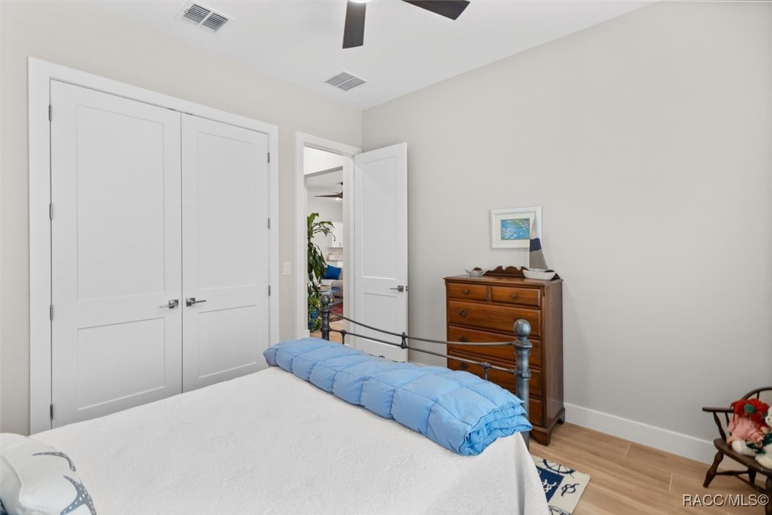 45 Black Willow Street