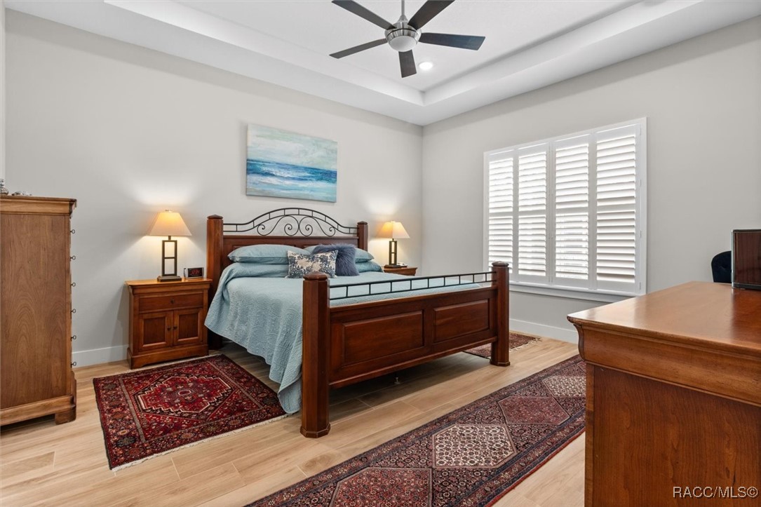 45 Black Willow Street