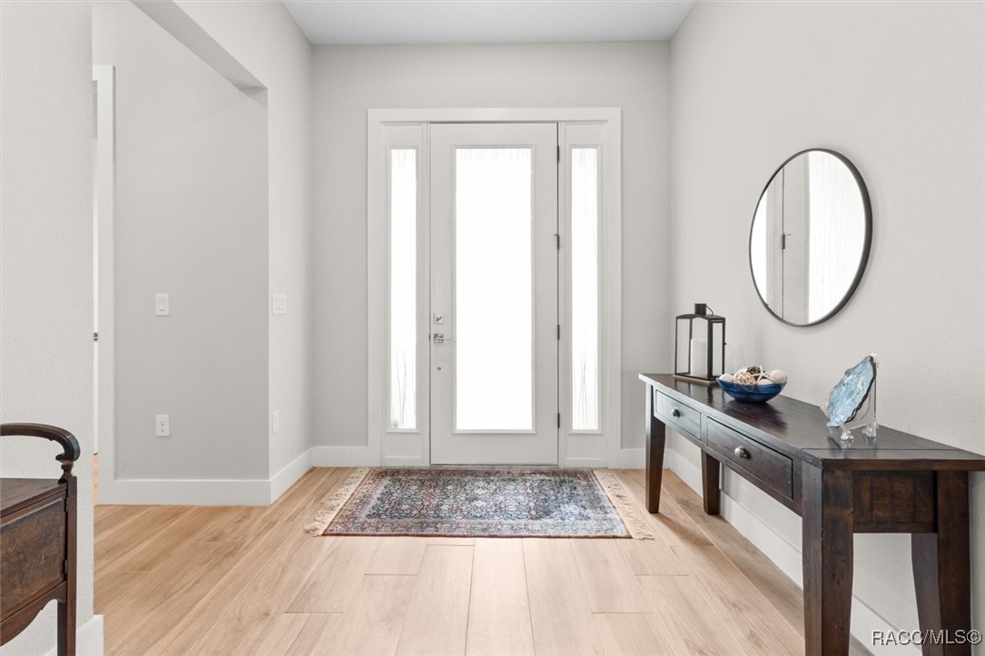 45 Black Willow Street