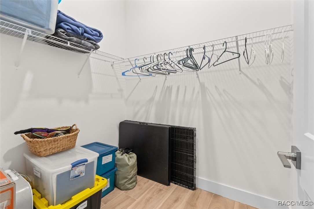 45 Black Willow Street