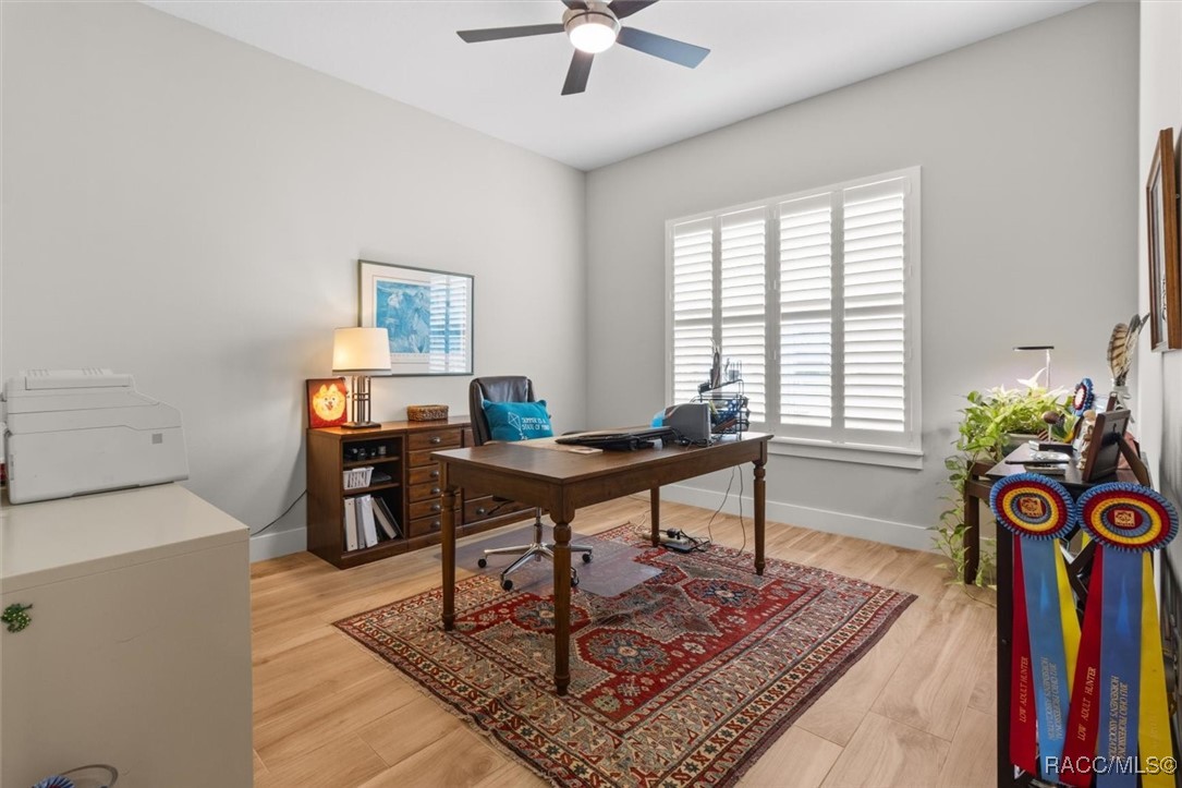 45 Black Willow Street