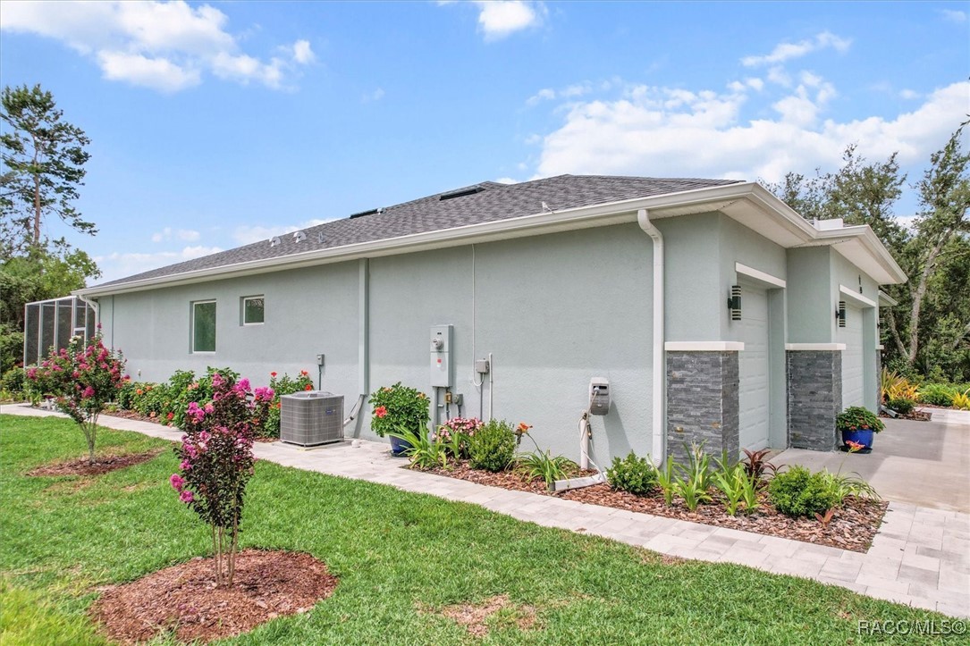 45 Black Willow Street