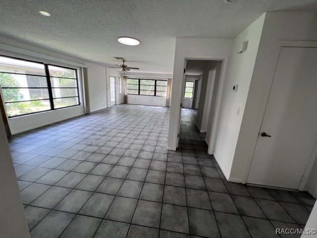 100 Chinaberry Circle