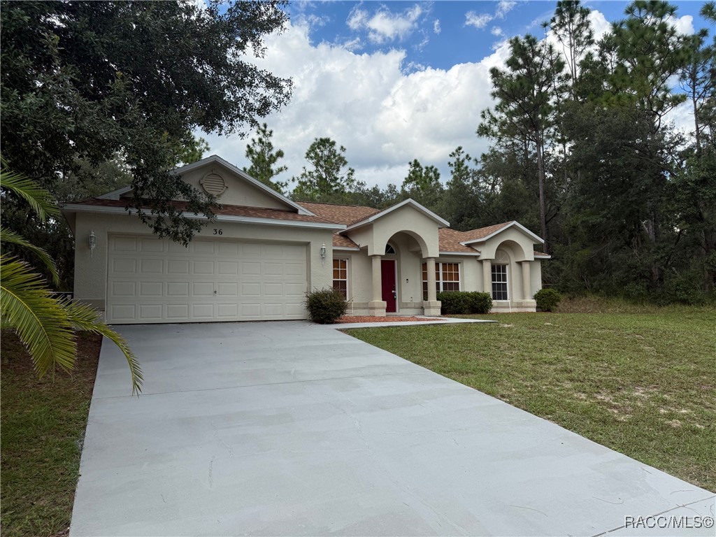 36 Fringetree Street