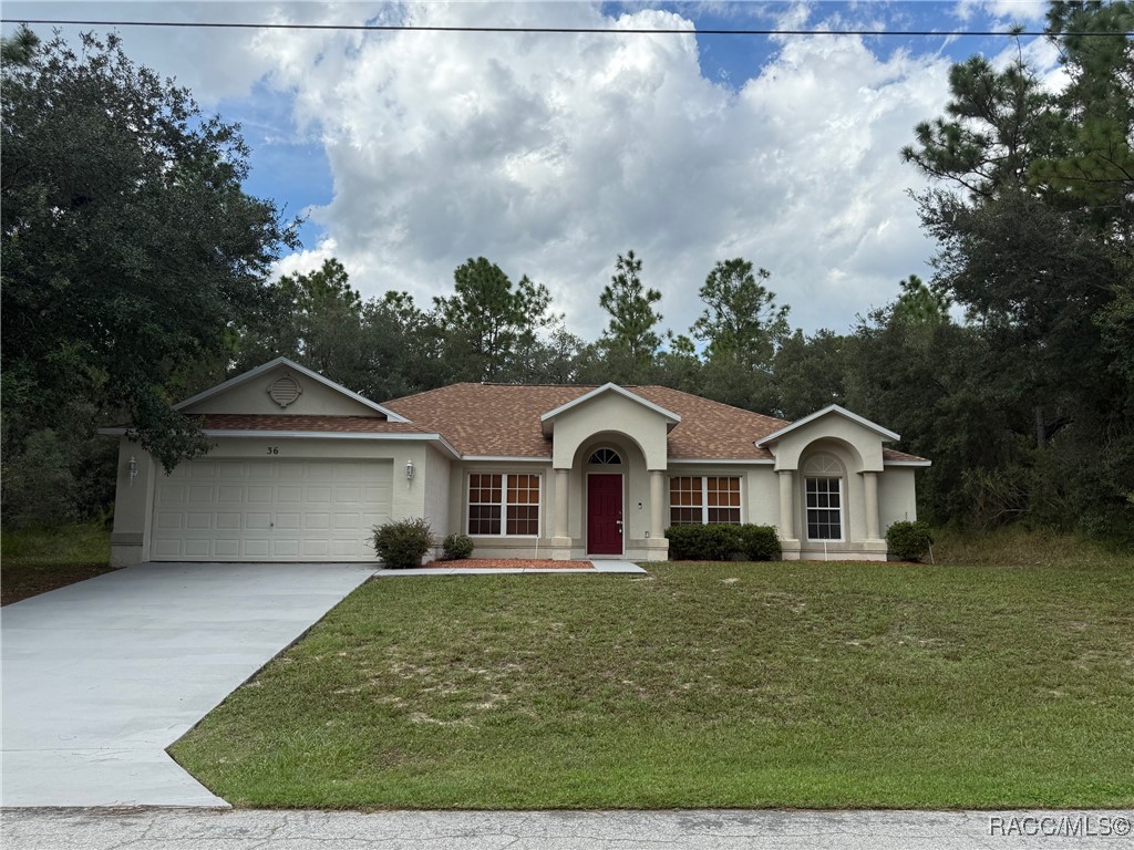 36 Fringetree Street