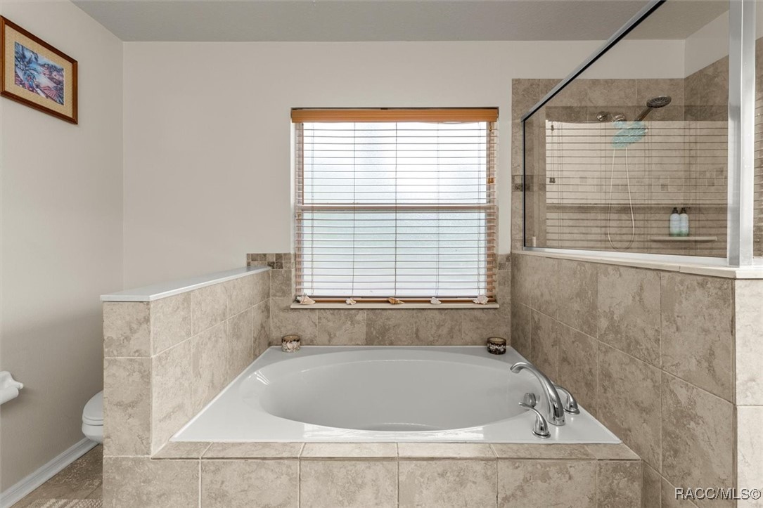 36 Fringetree Street