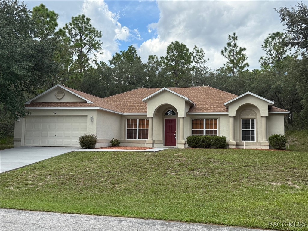 36 Fringetree Street