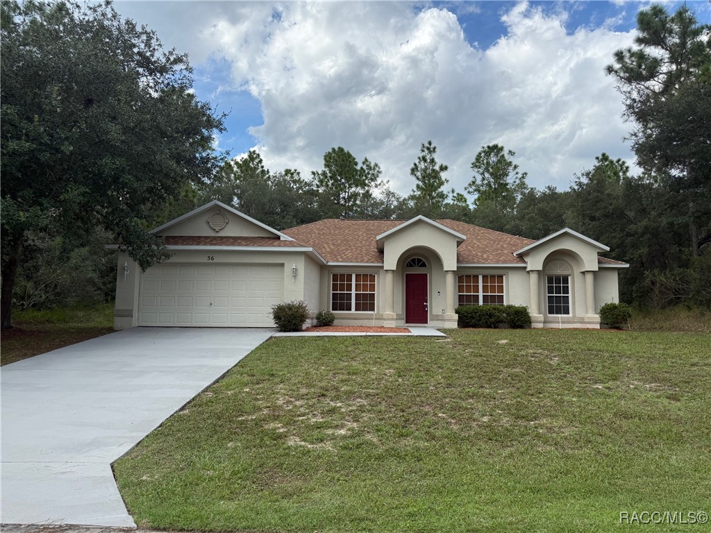 36 Fringetree Street