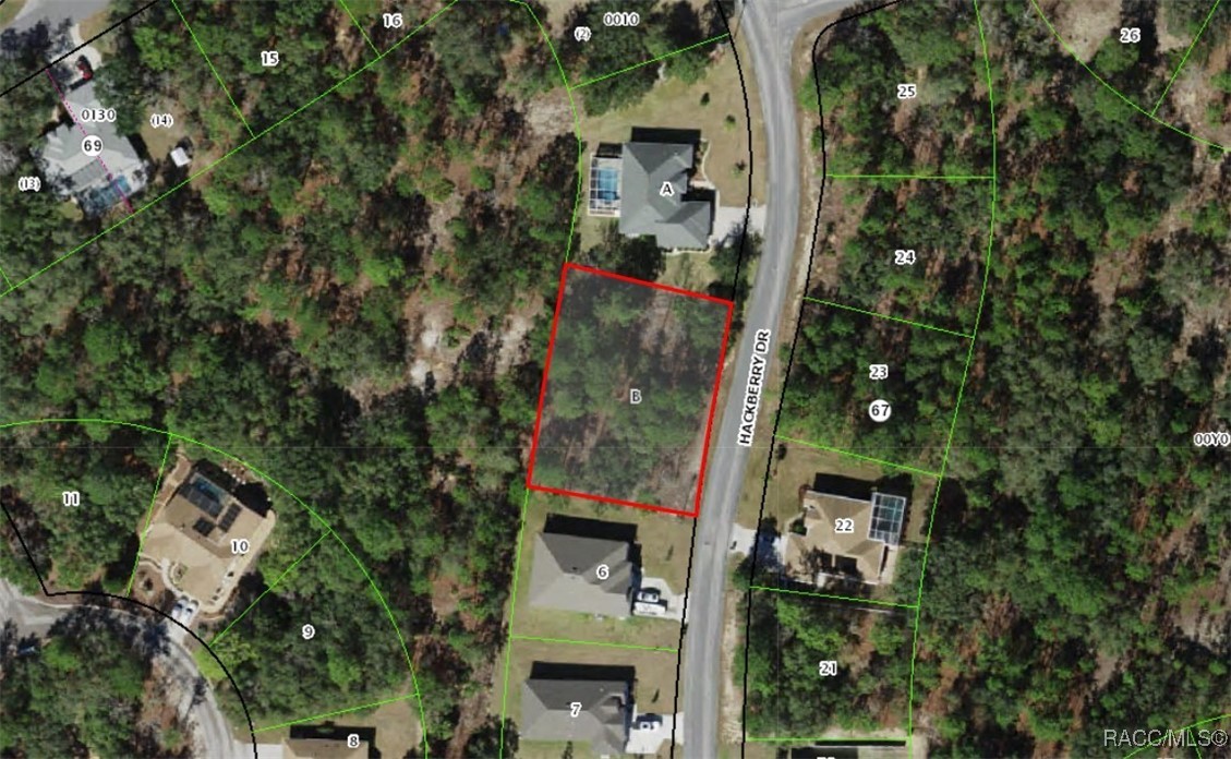 28 Hackberry Drive