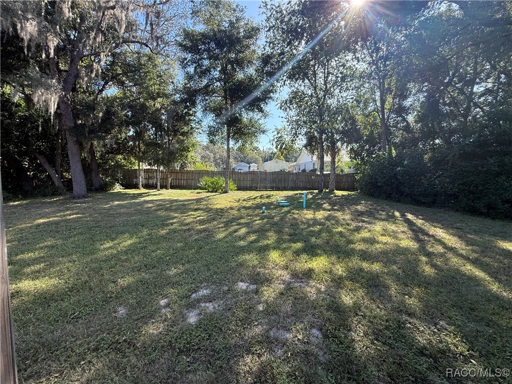 1151 N Lion Cub Point 5