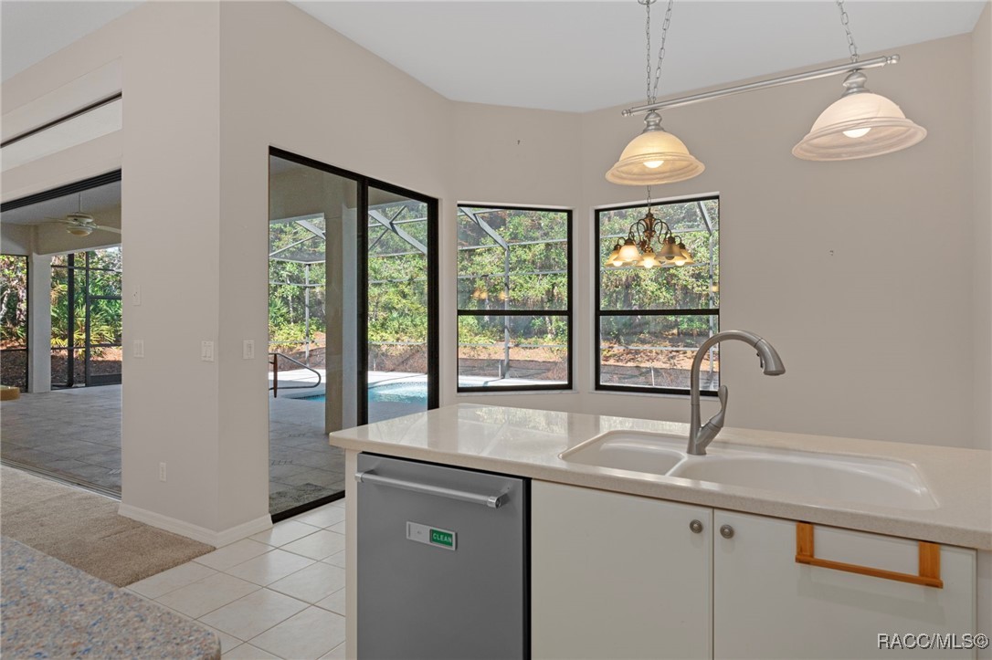 19 Livingstone Daisy Court