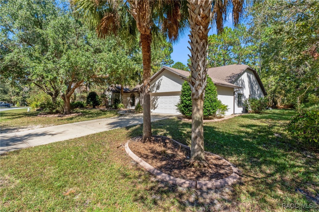 19 Livingstone Daisy Court