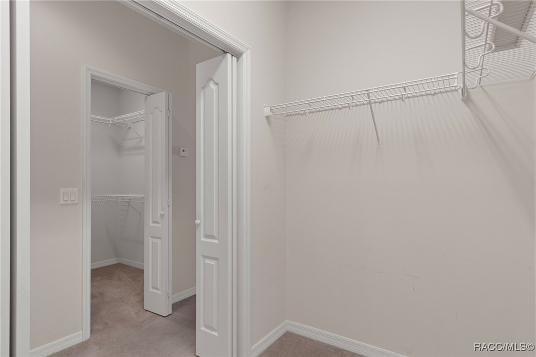 19 Livingstone Daisy Court