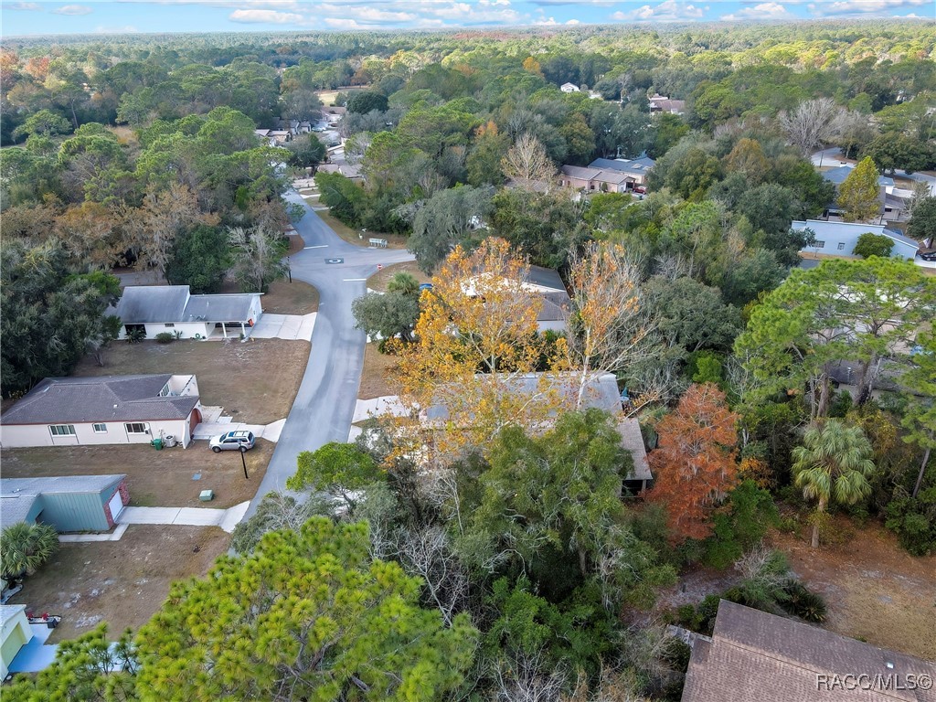 10 Chinaberry Circle