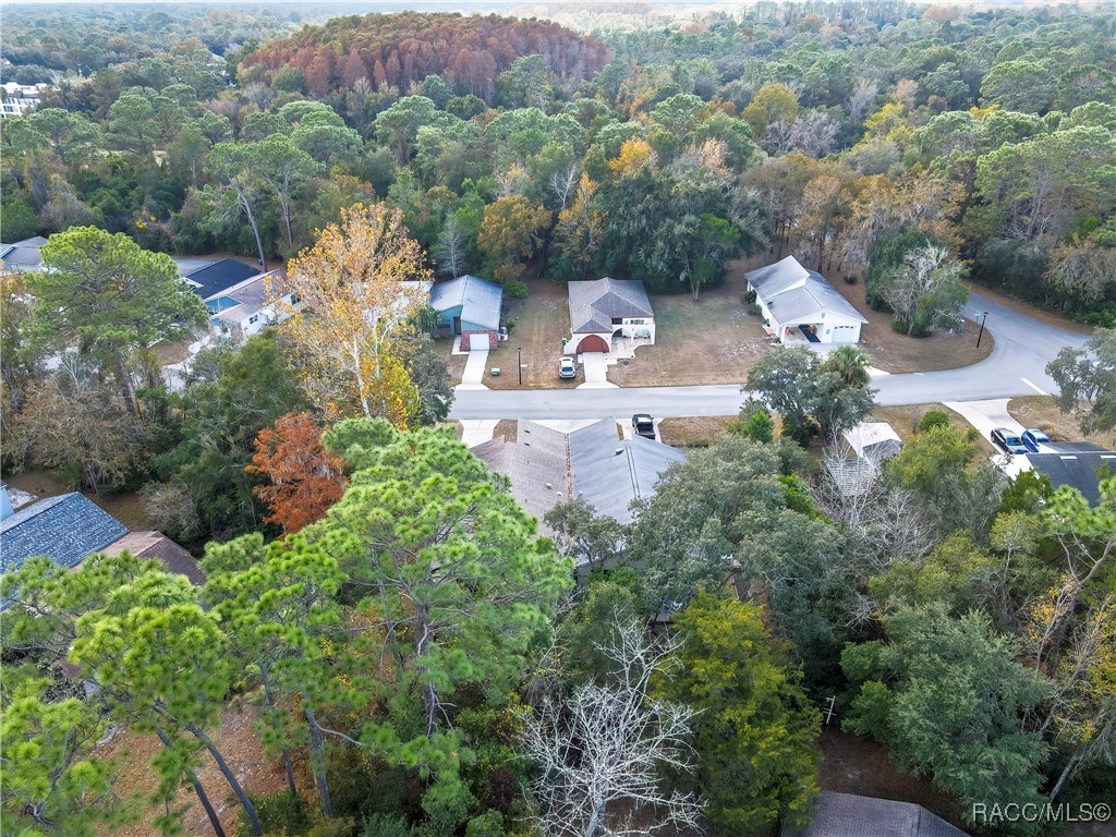 10 Chinaberry Circle