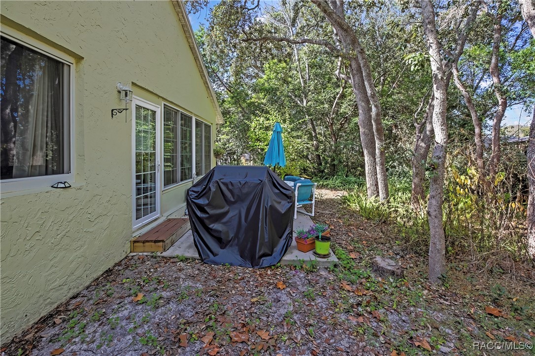 10 Chinaberry Circle