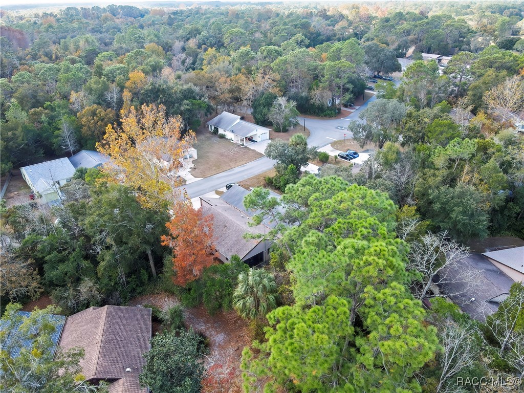 10 Chinaberry Circle