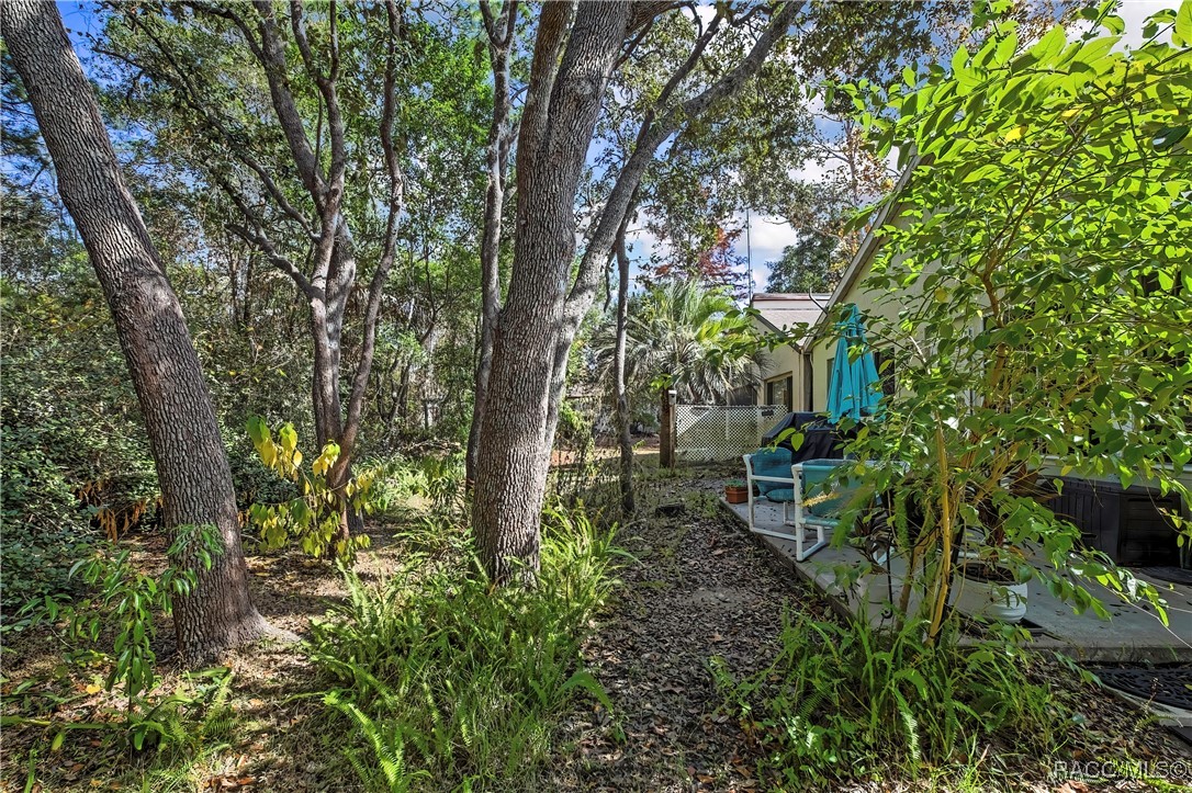 10 Chinaberry Circle