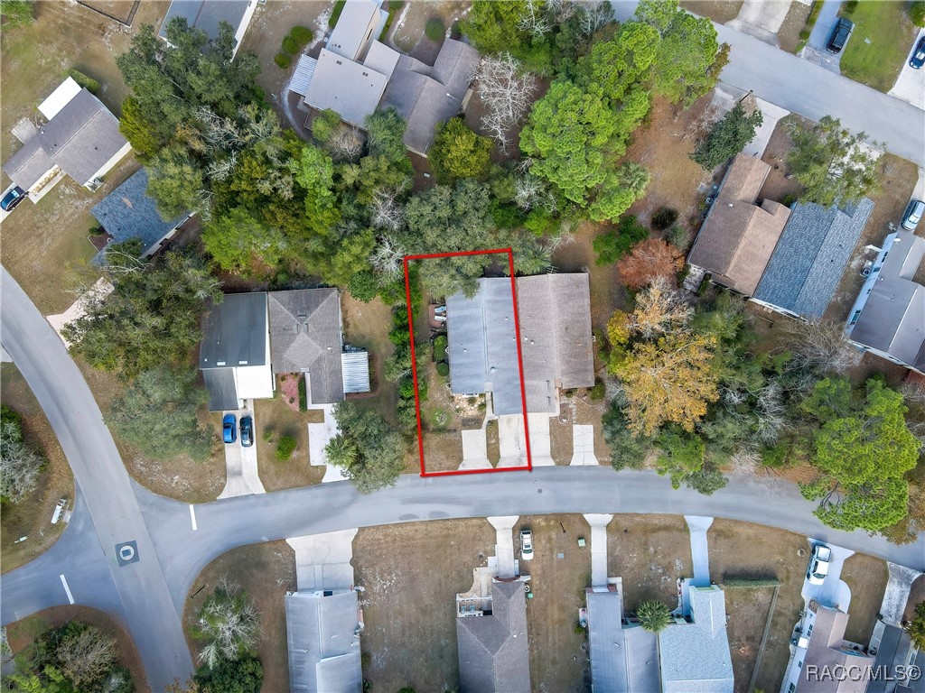 10 Chinaberry Circle