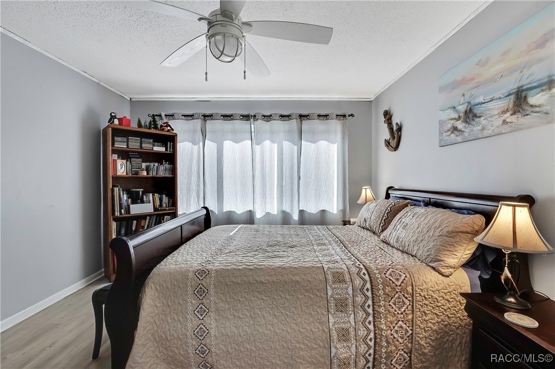 10 Chinaberry Circle