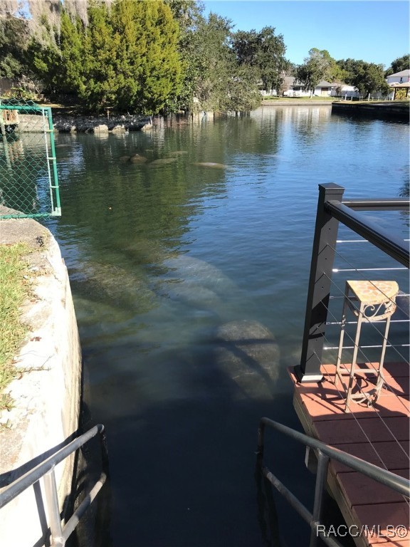 241 SE Kings Bay Drive