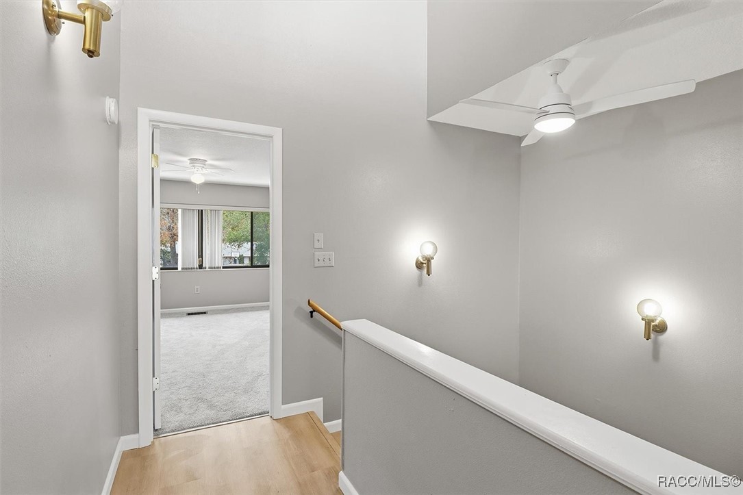 49 Douglas Street 23