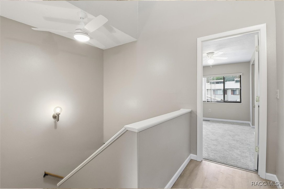 49 Douglas Street 23