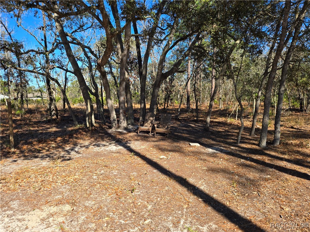 15426 Mottled Owl Road