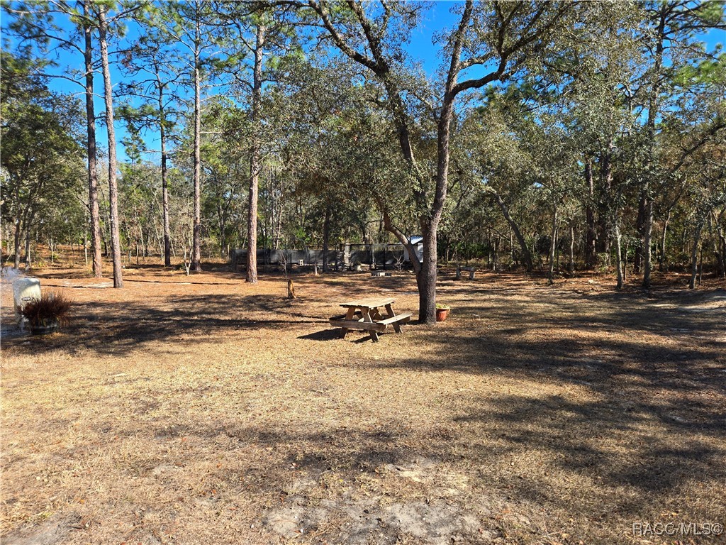 15426 Mottled Owl Road