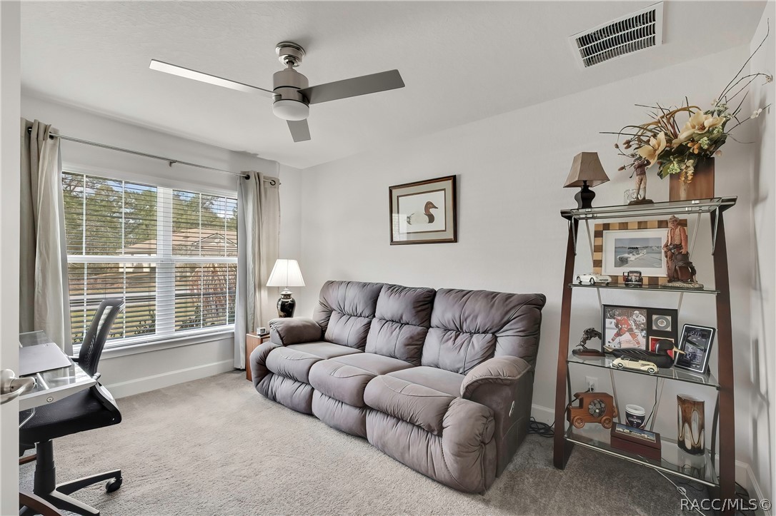 24 Tall Marigolds Court