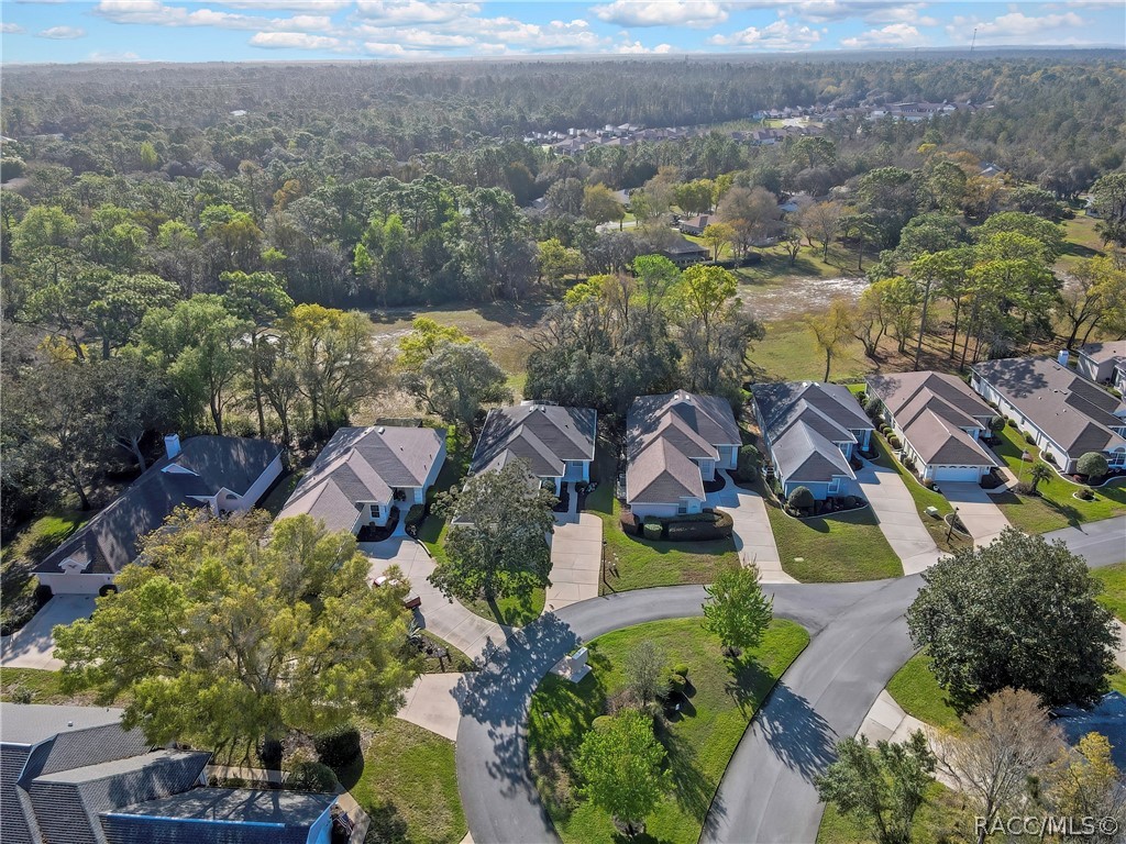80 W Byrsonima Loop