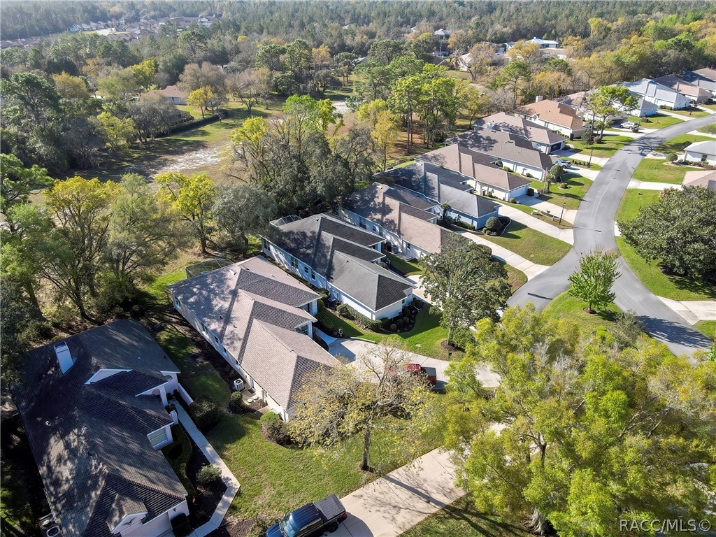 80 W Byrsonima Loop