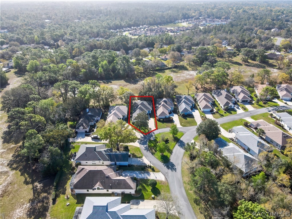 80 W Byrsonima Loop
