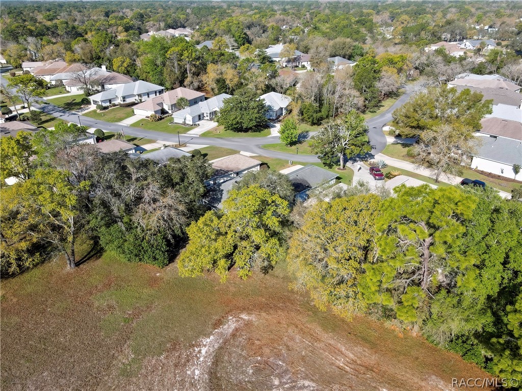 80 W Byrsonima Loop