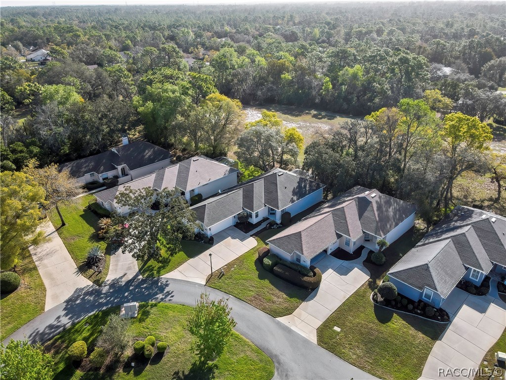 80 W Byrsonima Loop